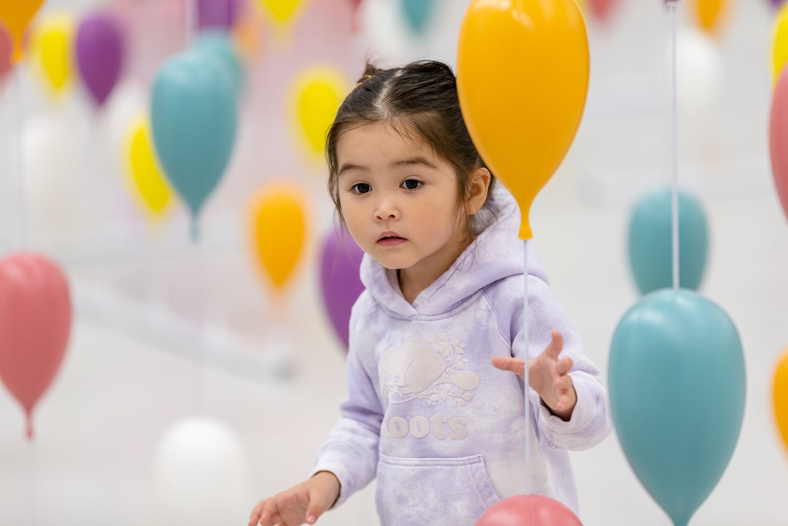 The Dr. Seuss Experience photo 2