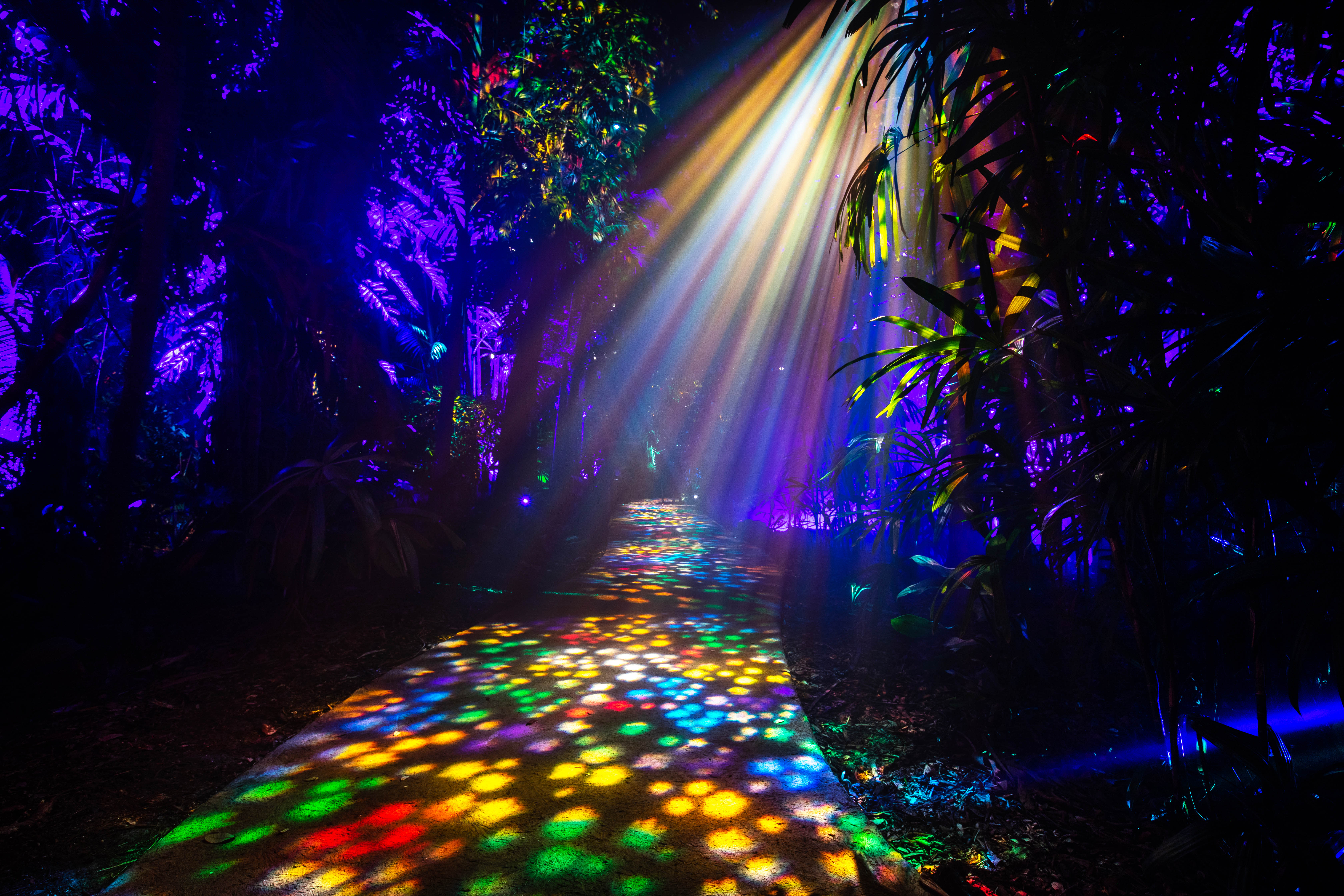 The Nightgarden photo 1