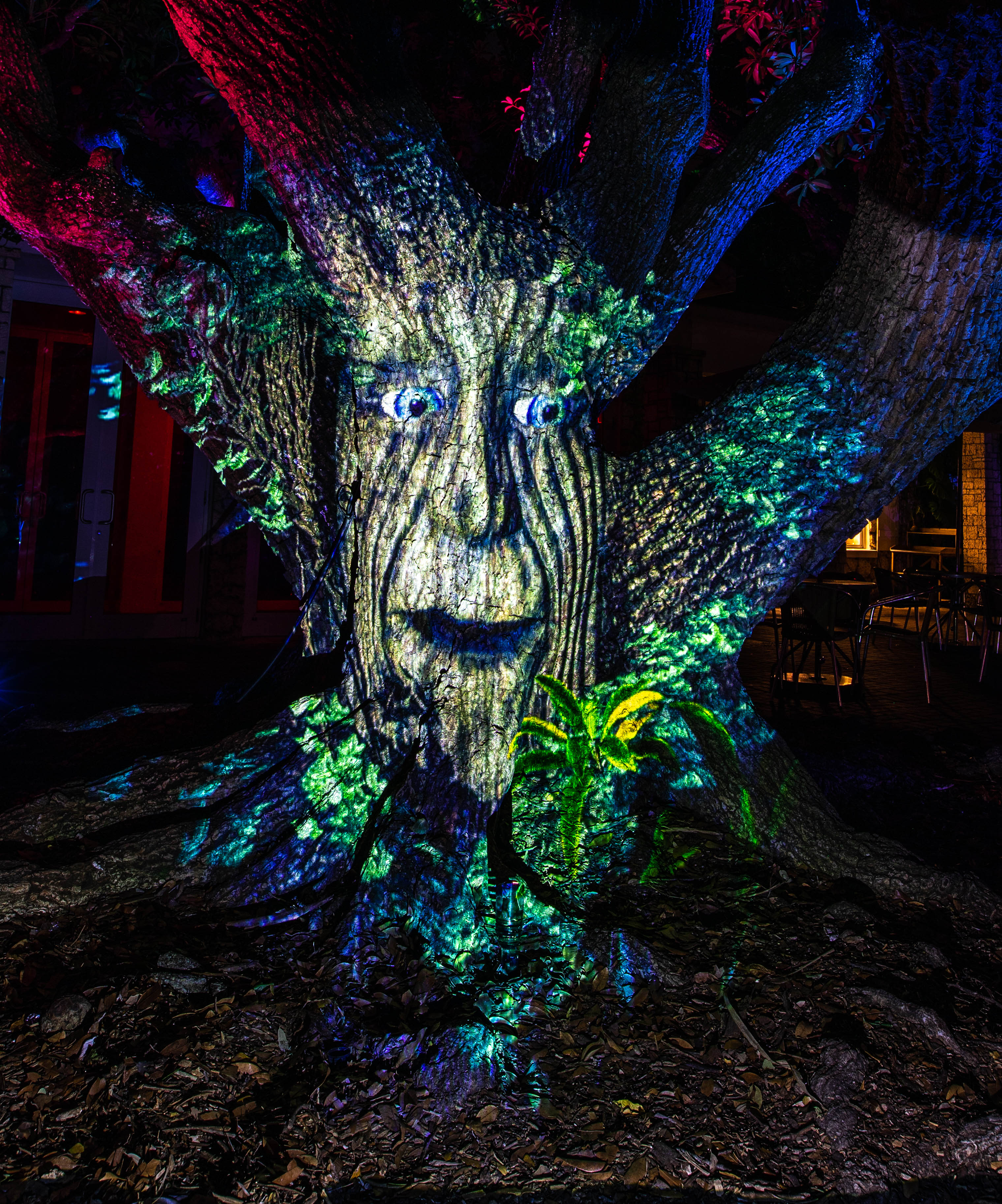 The Nightgarden photo 2
