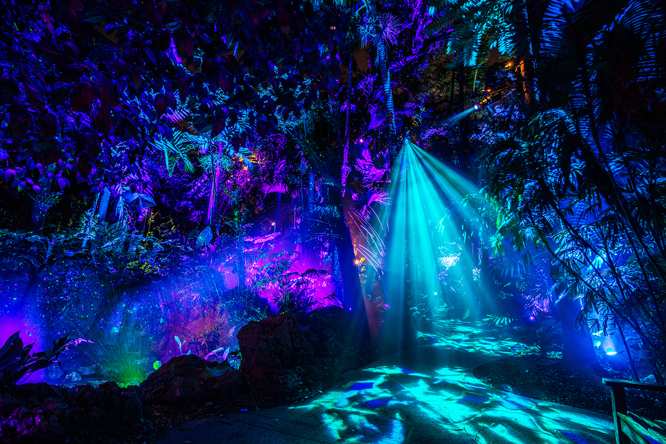 The Nightgarden photo 3