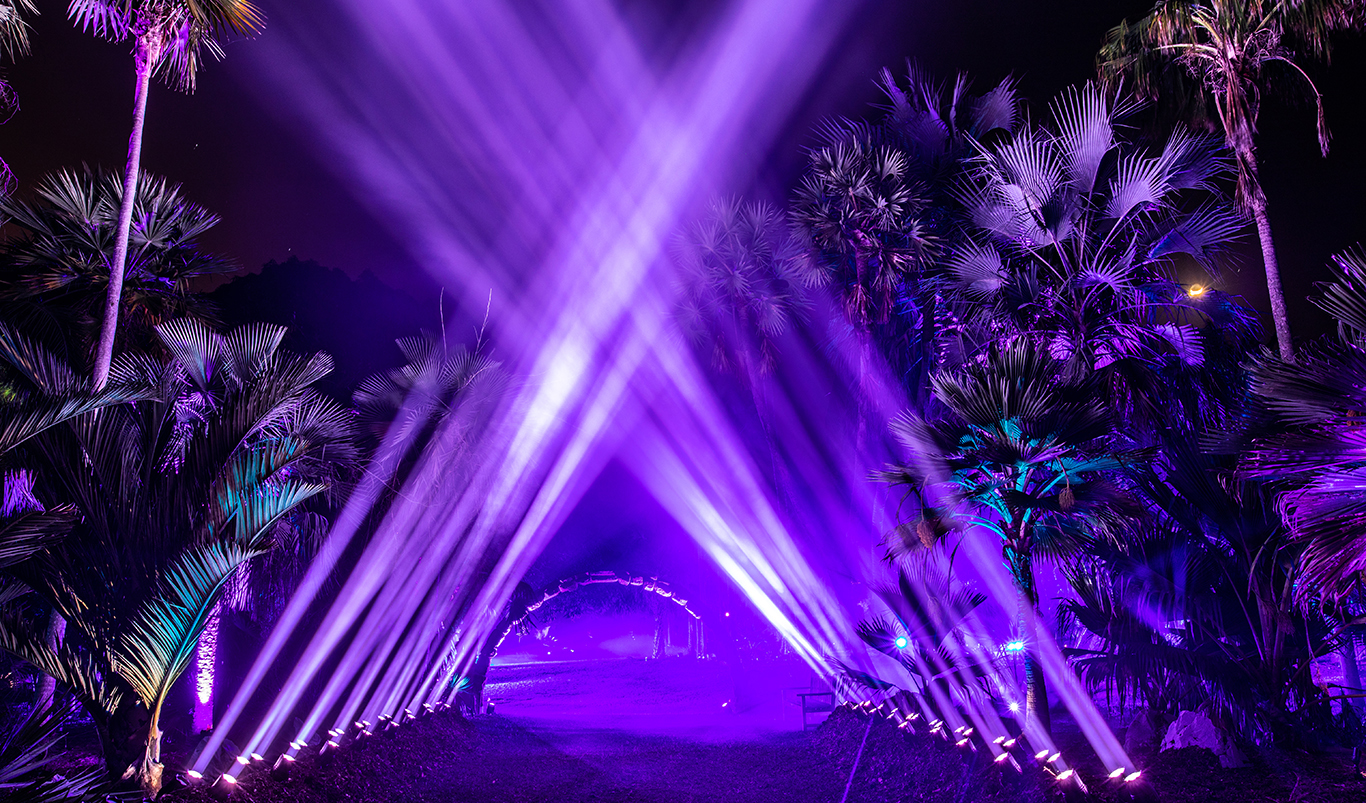The Nightgarden photo 4